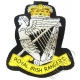 Royal Irish Rangers Blazer Badge